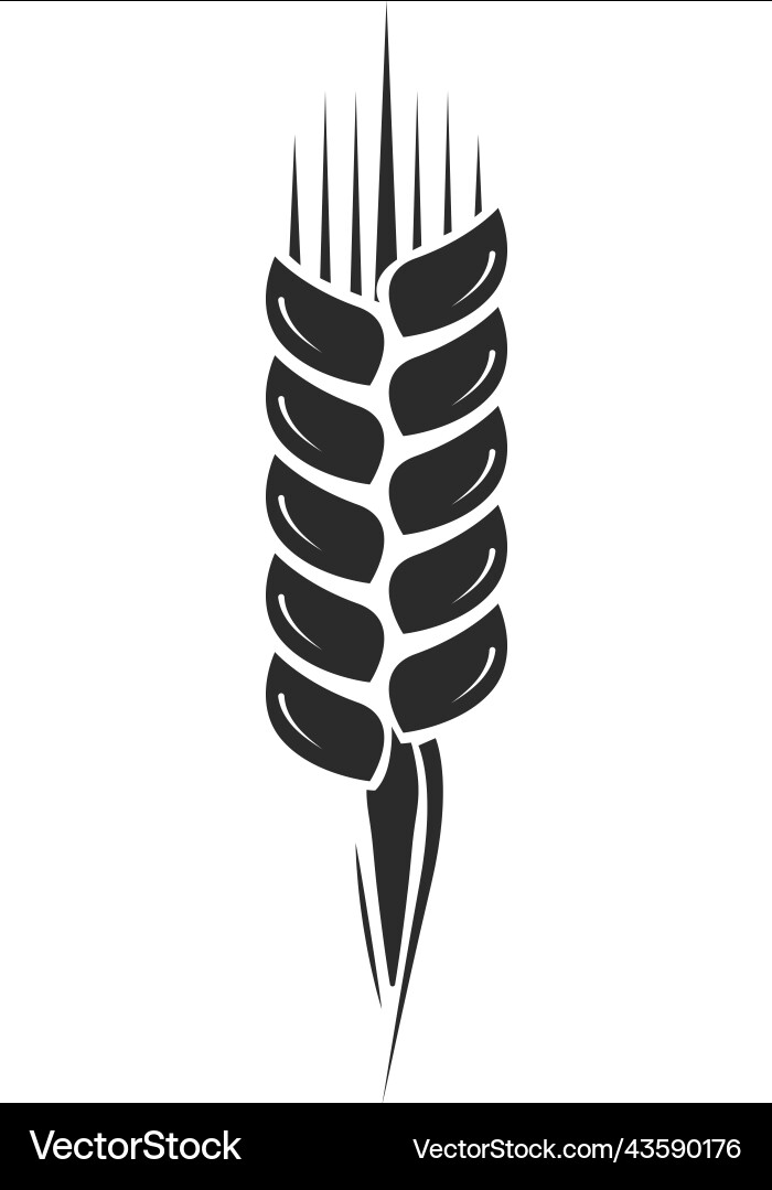 Getreide Ikone Landwirtschaft Symbol Weizen Ohr Zeichen Getreide Ikone Landwirtschaft Symbol Weizen Ohr Zeichen vektorbild