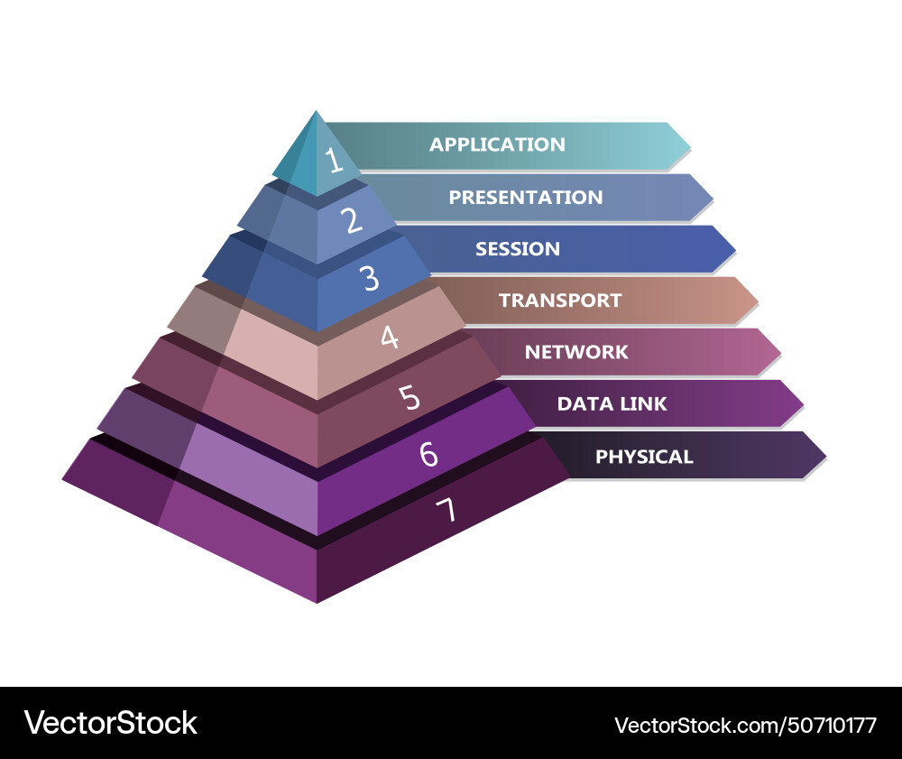 7 layer osi network model presented in pyramid Vector Image