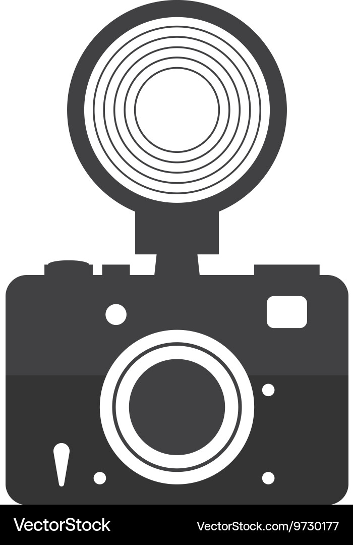 Camera with Flash Icon vector image