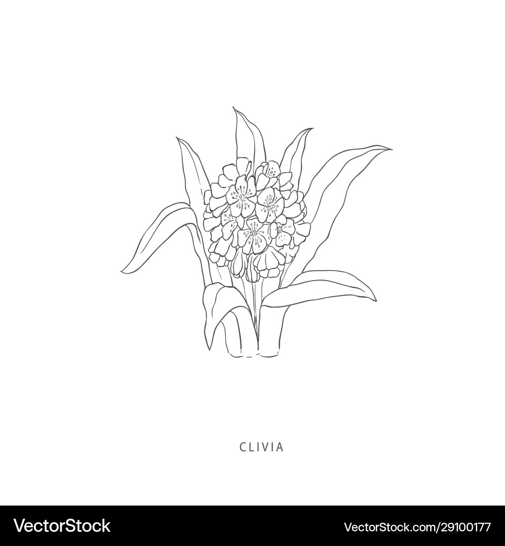 Greenery design elements botanical logos Vector Image