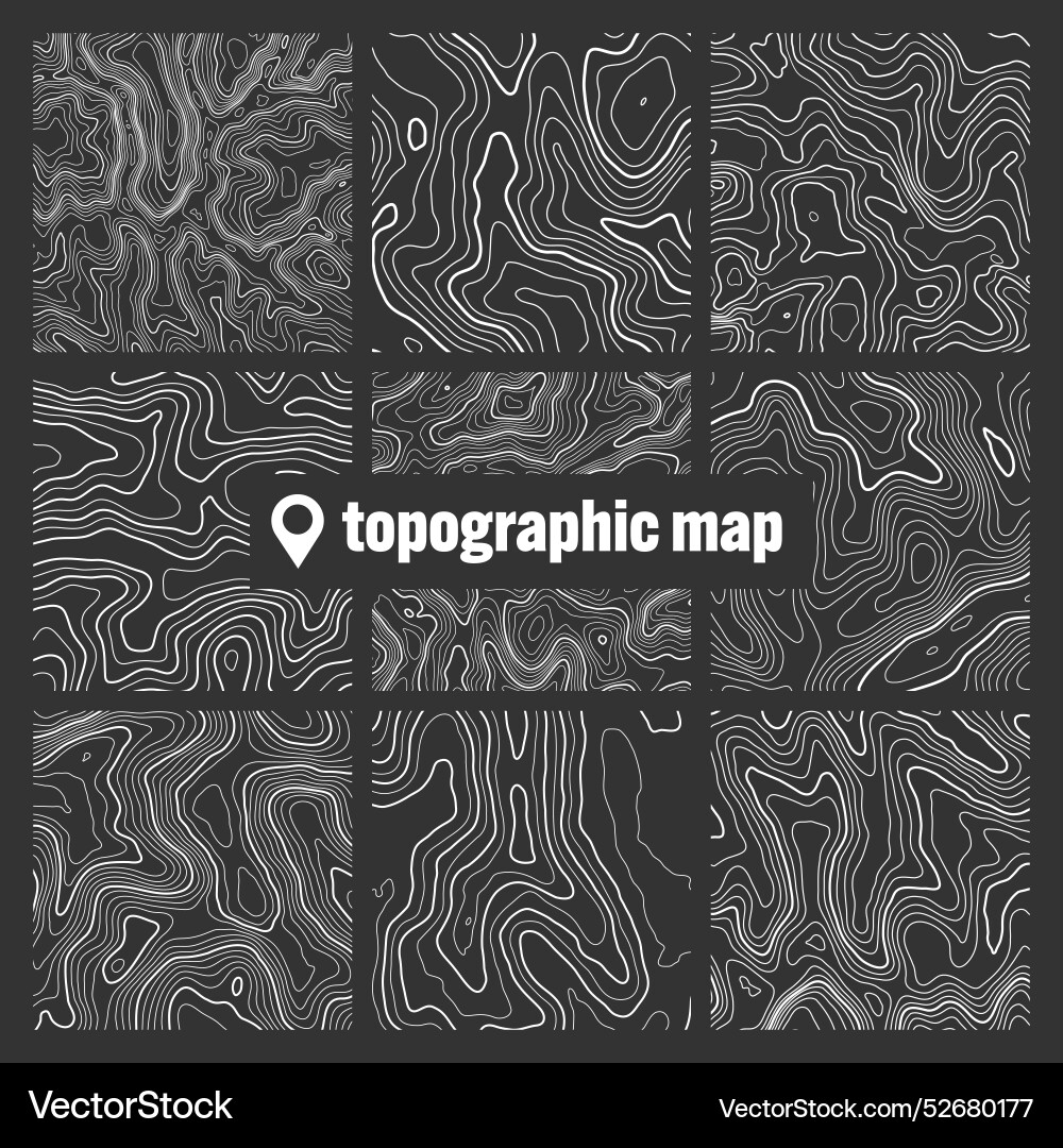 Topographic map with contour lines geographic vector image