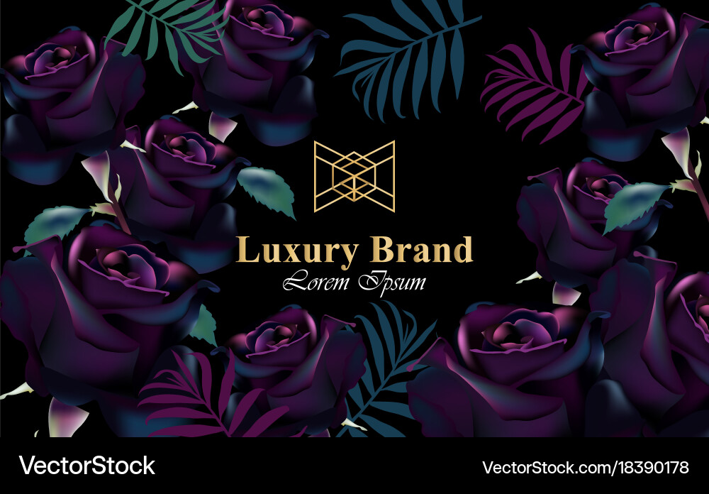 Black roses card beautiful Royalty Free Vector Image