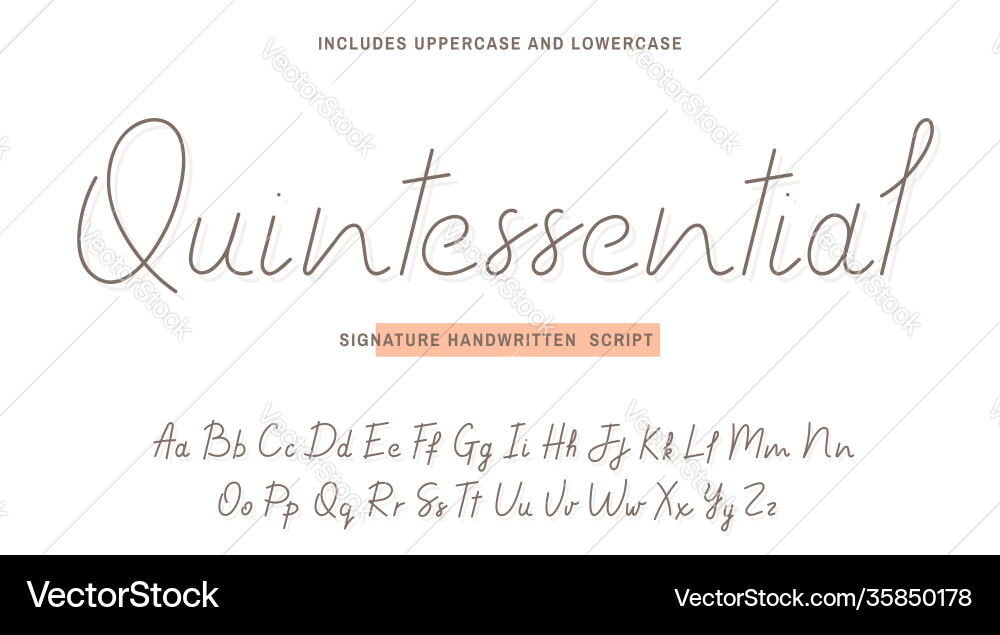 Elegant Handwritten Script Font vector image