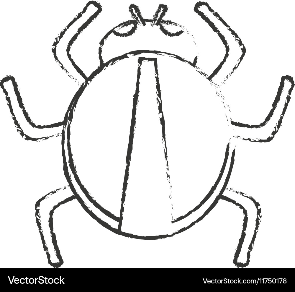 Isolated bug design vector image