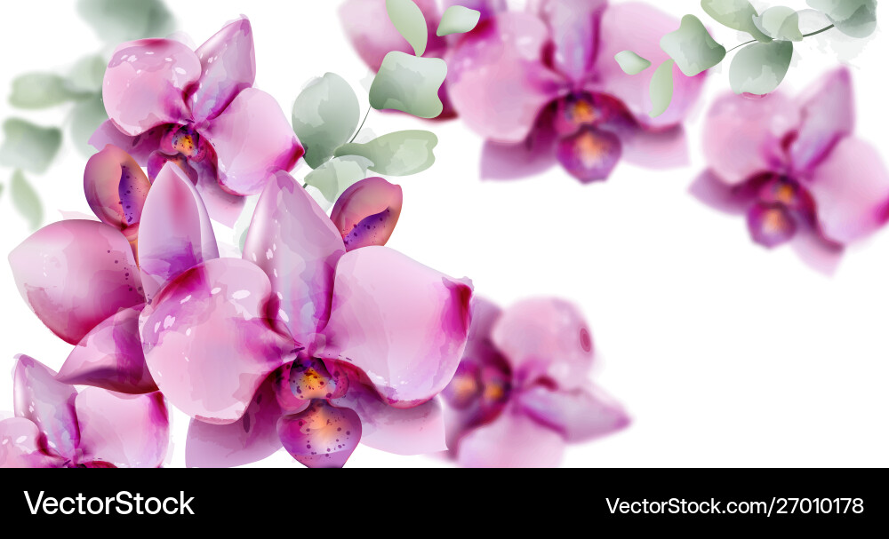 Orchid flowers watercolor summer floral pattern Orchid flowers watercolor summer floral pattern vector image