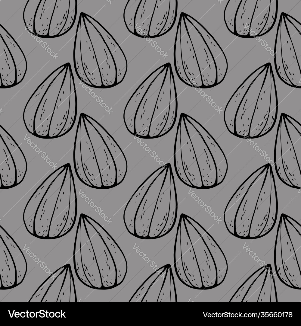 Sunflower seed seamless pattern on grey background Vector Image