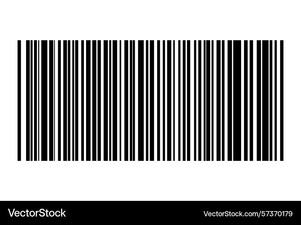 Barcode isolated on color background code stripes vector image