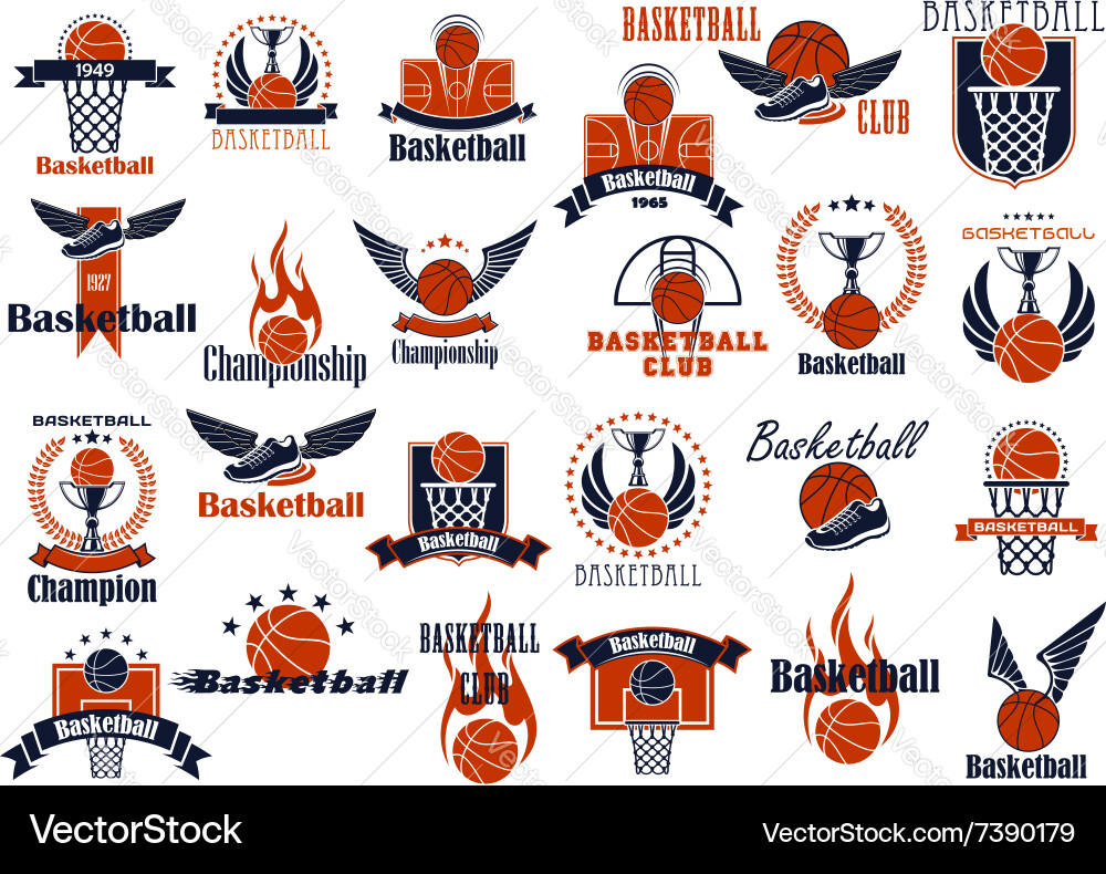 Basketball Sport Icons - Orange & Blue vector image