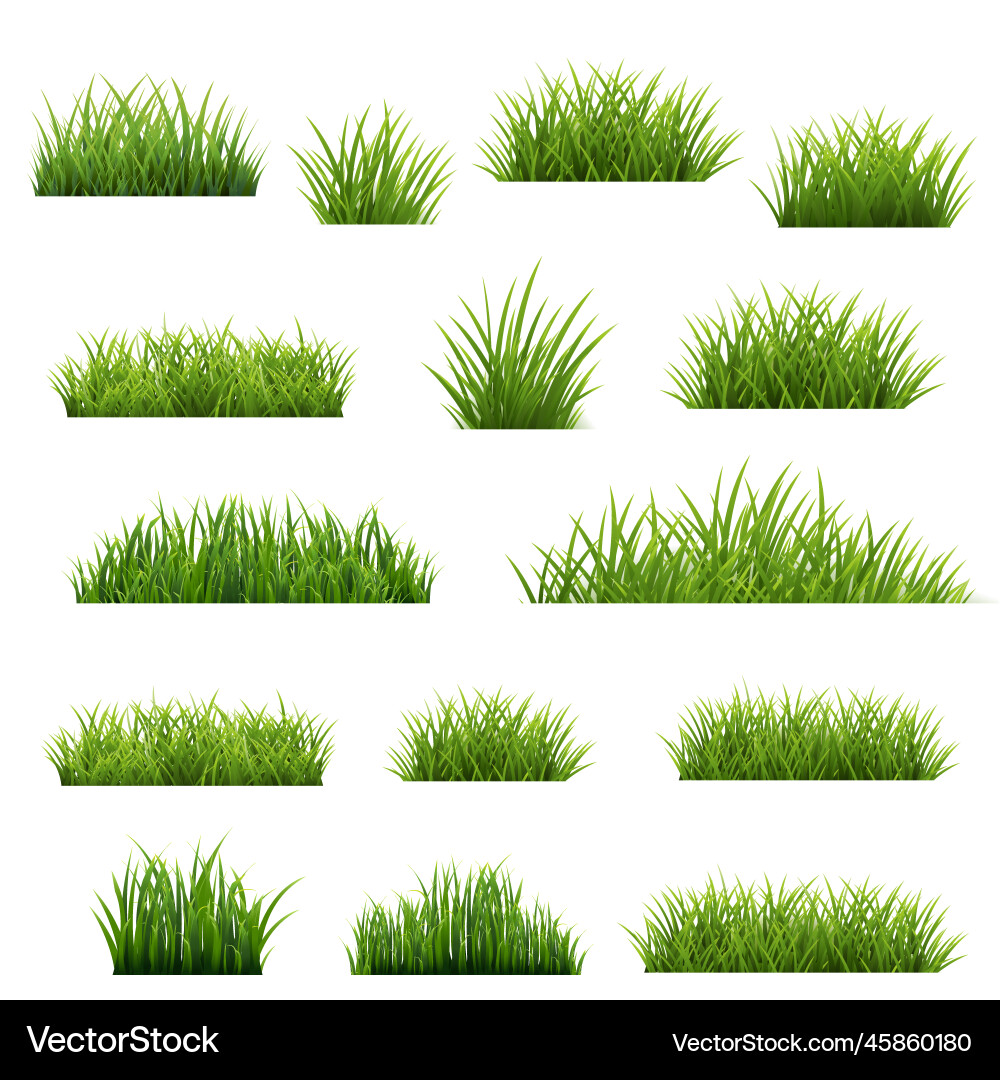 Grasrahmen und isolierter weißer Hintergrund Grasrahmen und isolierter weißer Hintergrund vektorbild