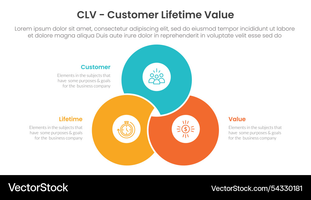 Clv customer lifetime value infographic 3 point Vector Image