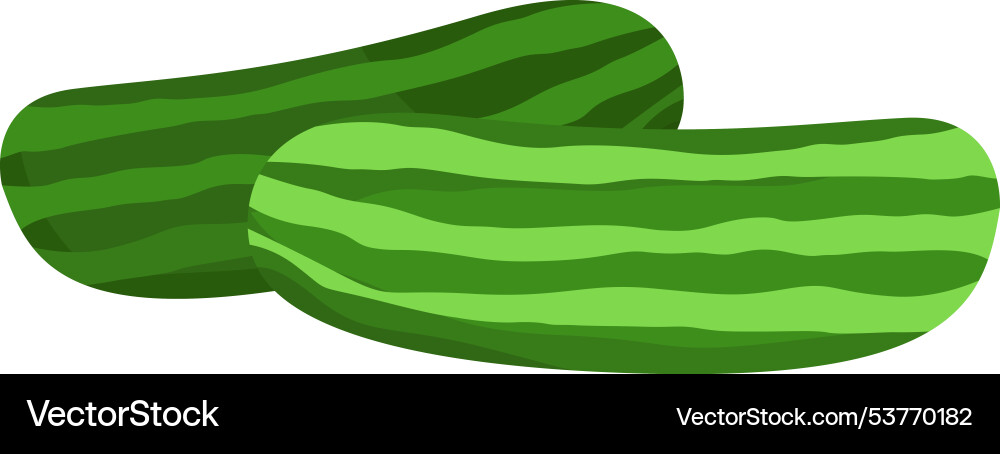 Cucumber on a white background Cucumber on a white background Vector Image