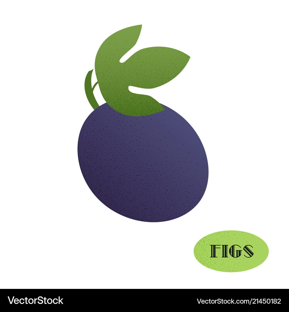 Sommerfrüchte Lizenzfreies Vektorbild - VectorStock