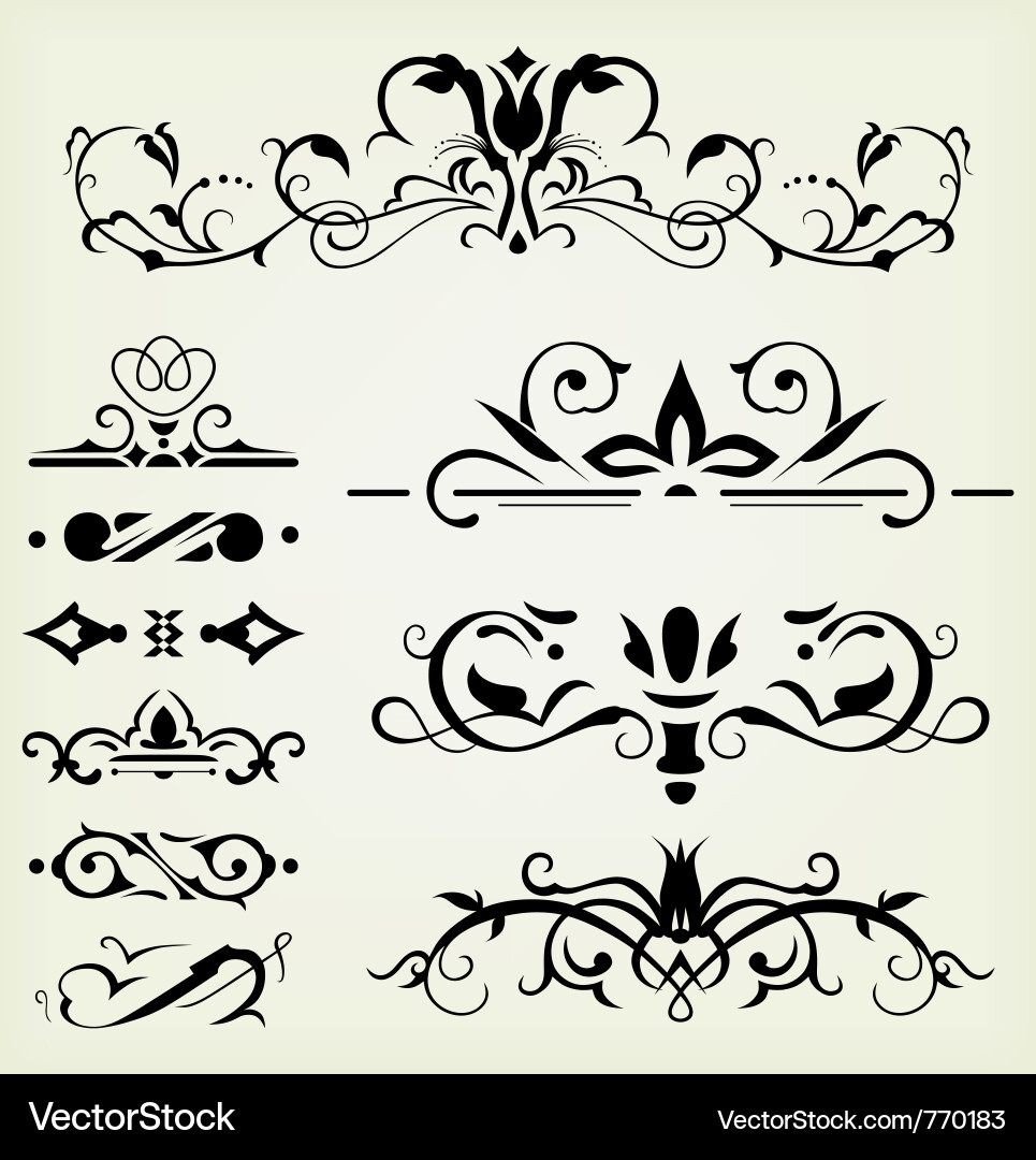 Calligraphic Elements & Ornaments vector image