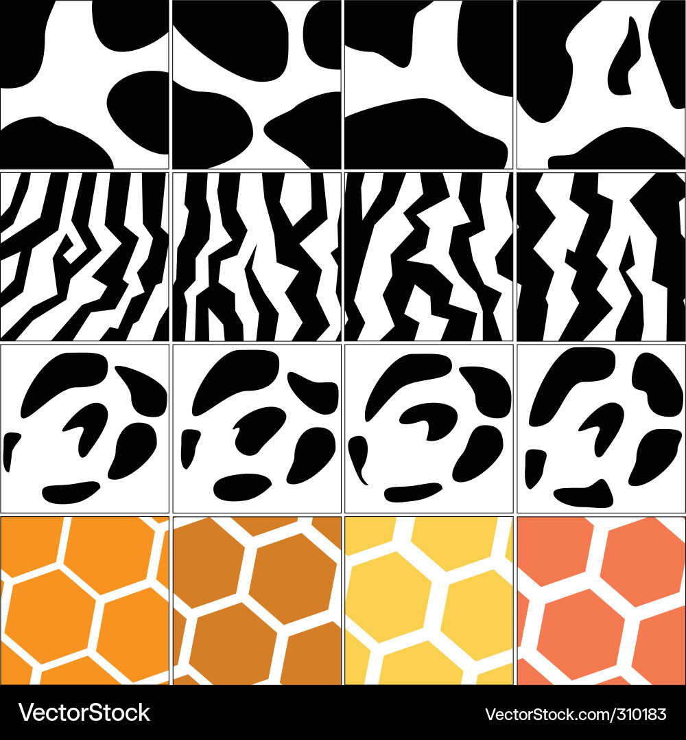 Zebra Pattern vector image
