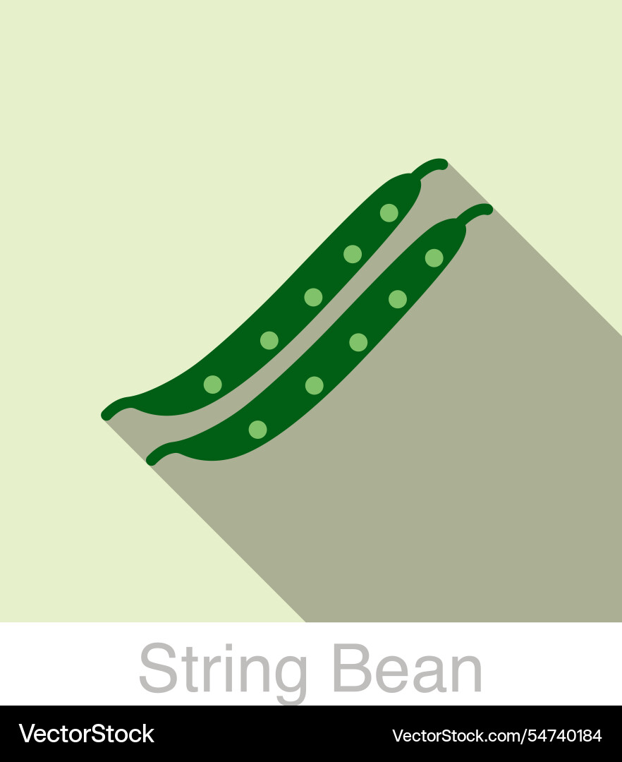 String bean vegetables food flat icon Vector Image