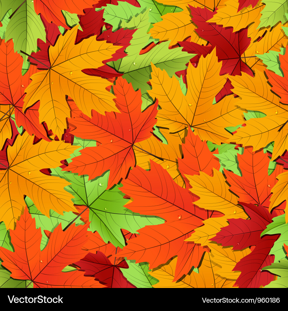 Colorful Maple Leaves Background Vector Image