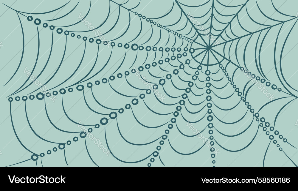 Complex Spider Web Pattern Vector Image