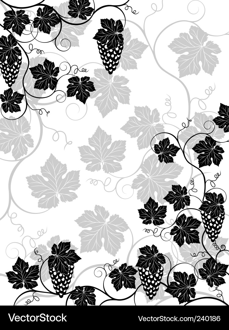 Floral Vine Background vector image