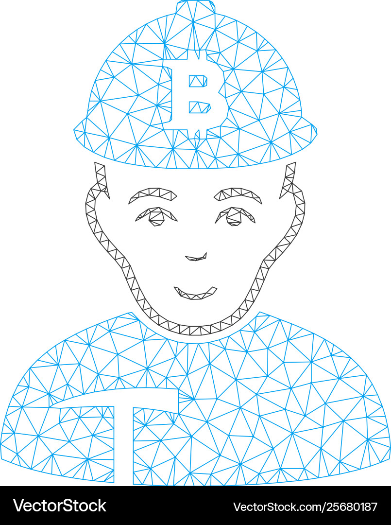 Bitcoin miner mesh carcass model Bitcoin miner mesh carcass model vector image