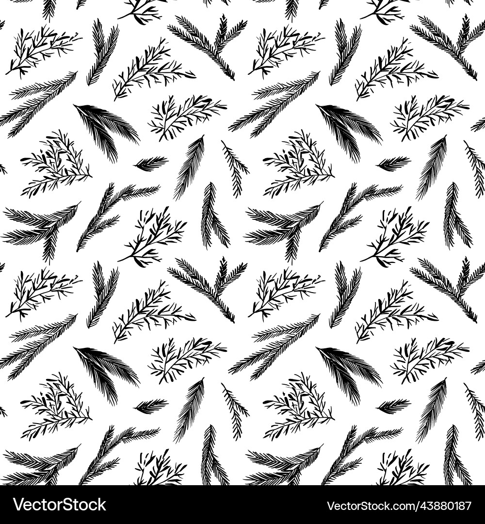 Fir and pine cones seamless pattern vector image