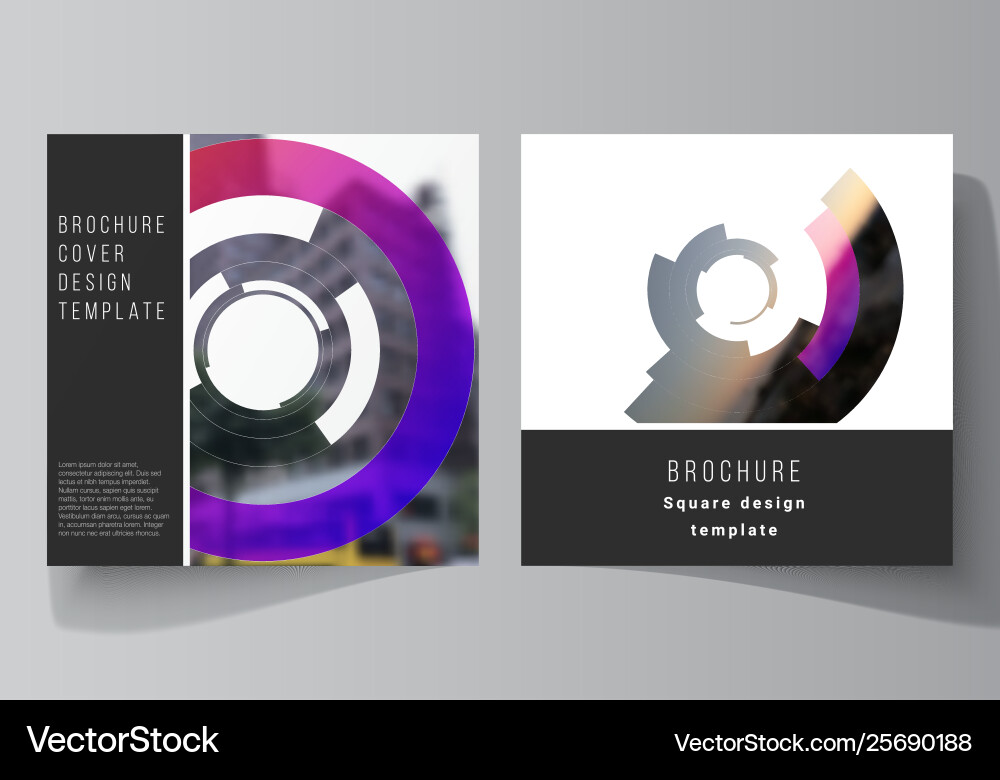 Minimal layout two square format Vector Image