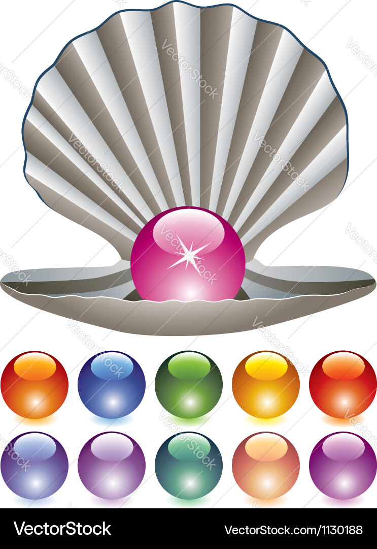 Pearl and Shell Collection Vector Image