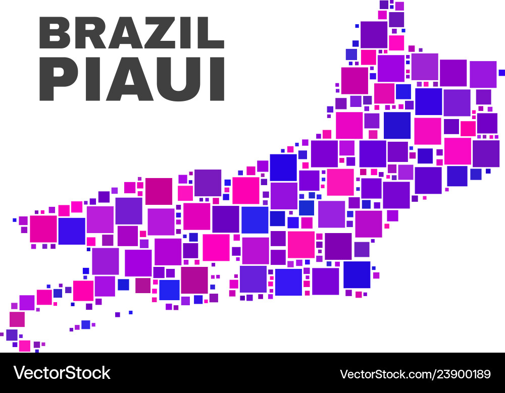 Mosaic piaui state map of square elements Mosaic piaui state map of square elements vector image