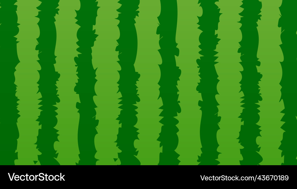 Watermelon pattern texture stripe Watermelon pattern texture stripe vector image