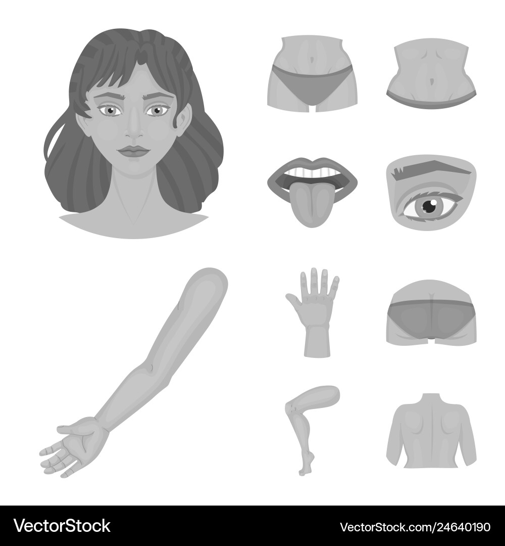 Isolated object of body and part logo set Isolated object of body and part logo set vector image