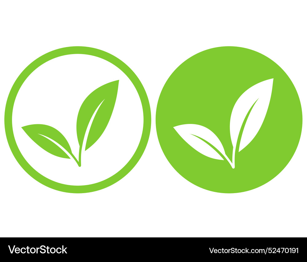 Green branch leaves letter v icons Green branch leaves letter v icons vector image