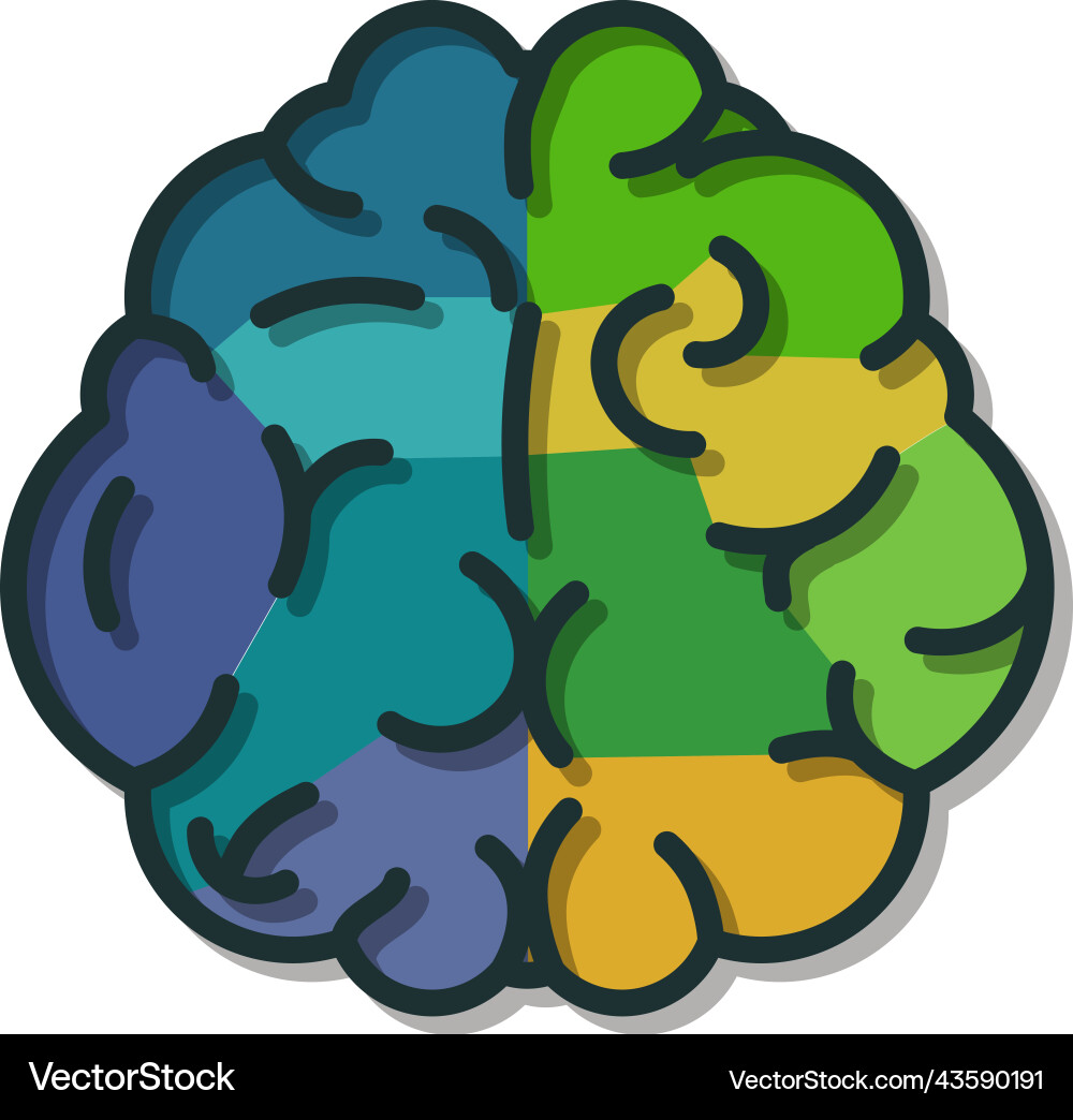 Human mind with color areas brain functions icon Human mind with color areas brain functions icon vector image