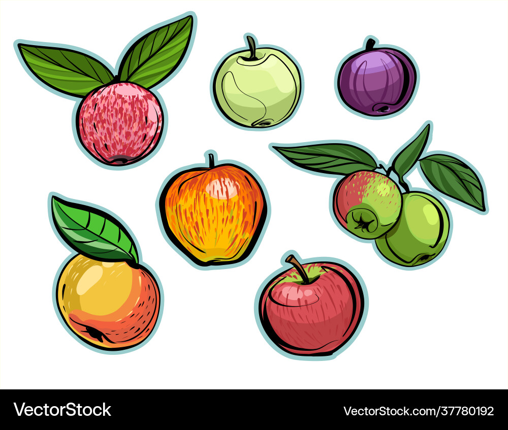 A set different varieties apples A set different varieties apples Vector Image