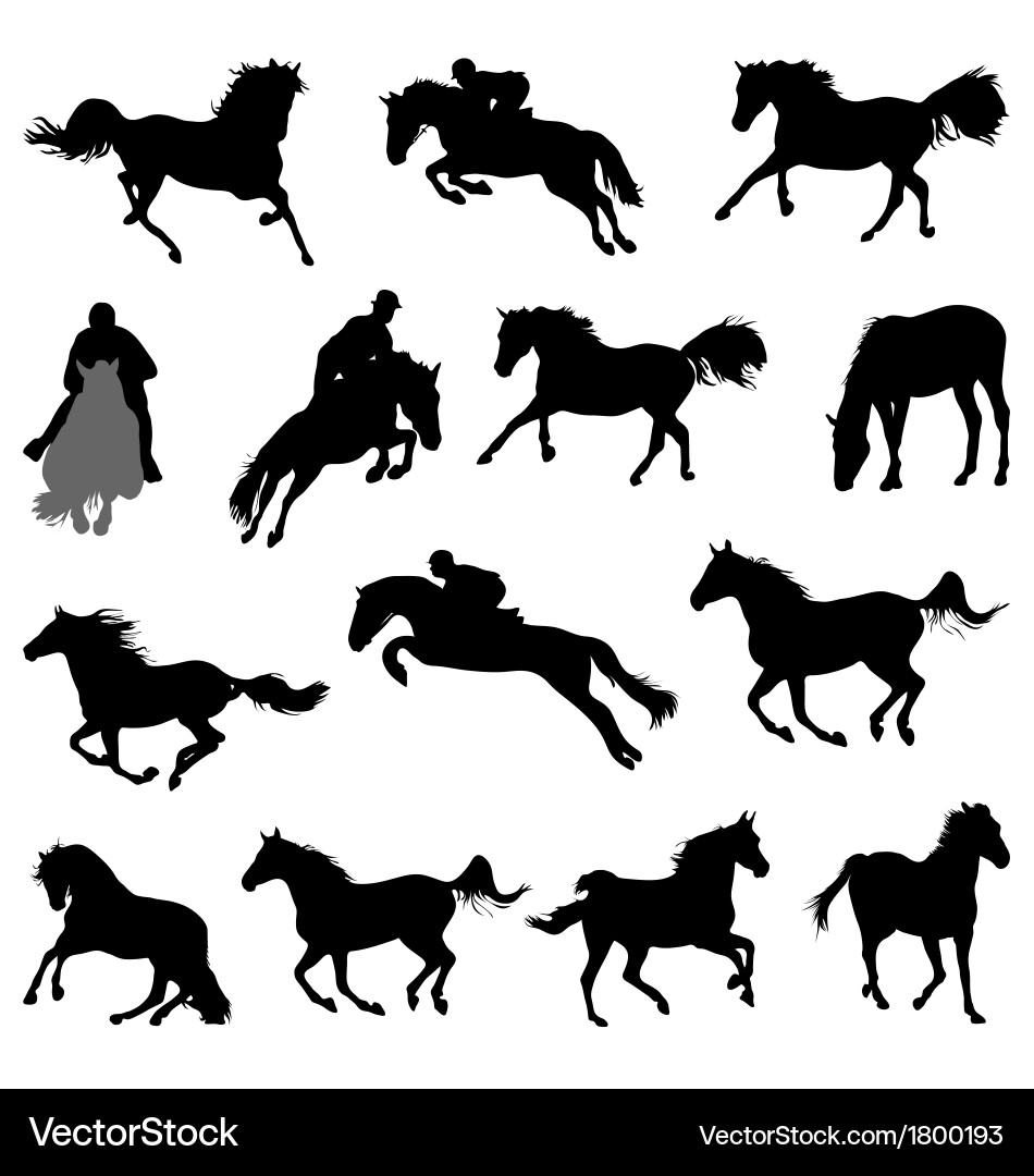 Horse Silhouettes vector image