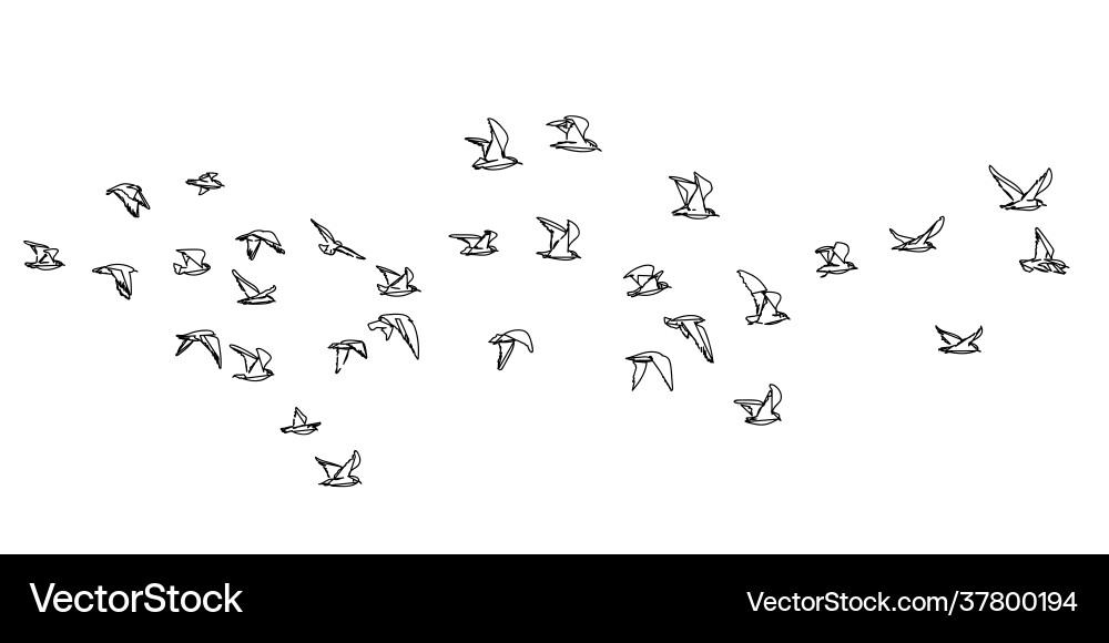 Abstract Birds Flock Line Art vector image