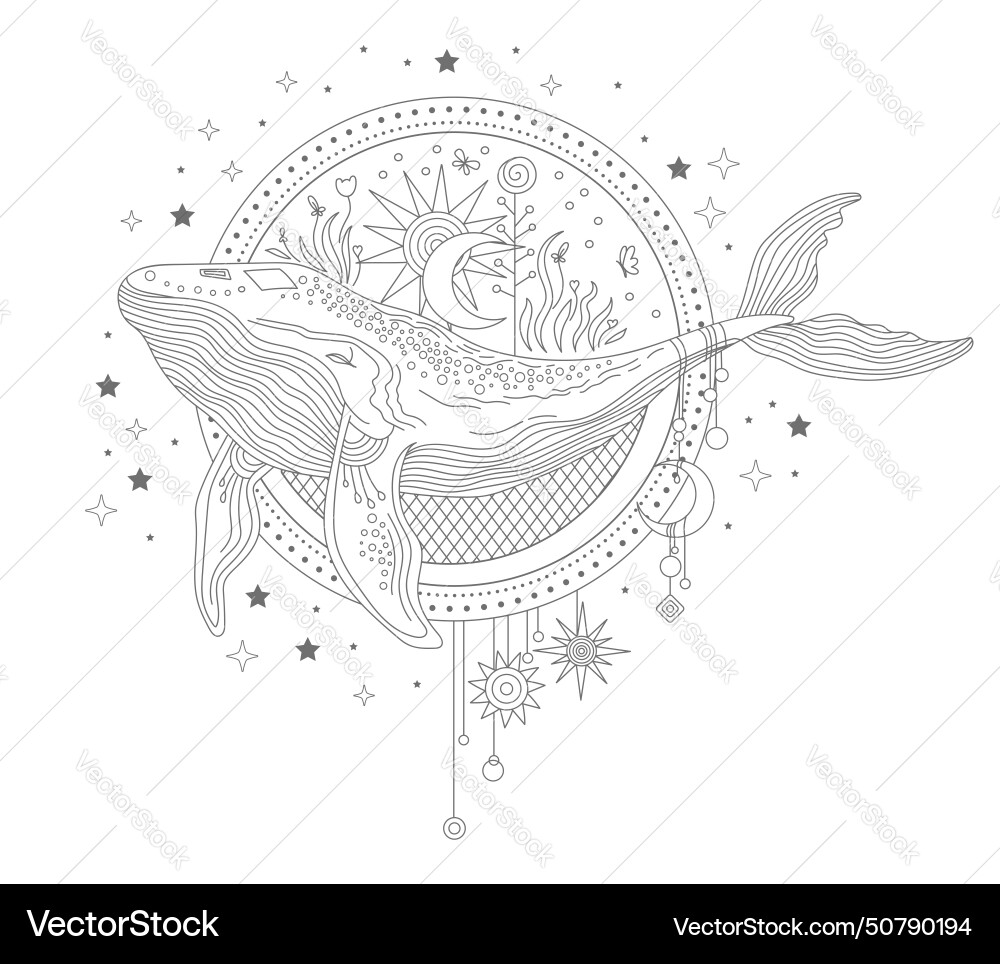 Celestial whale linear hand drawing Royalty Free Vector