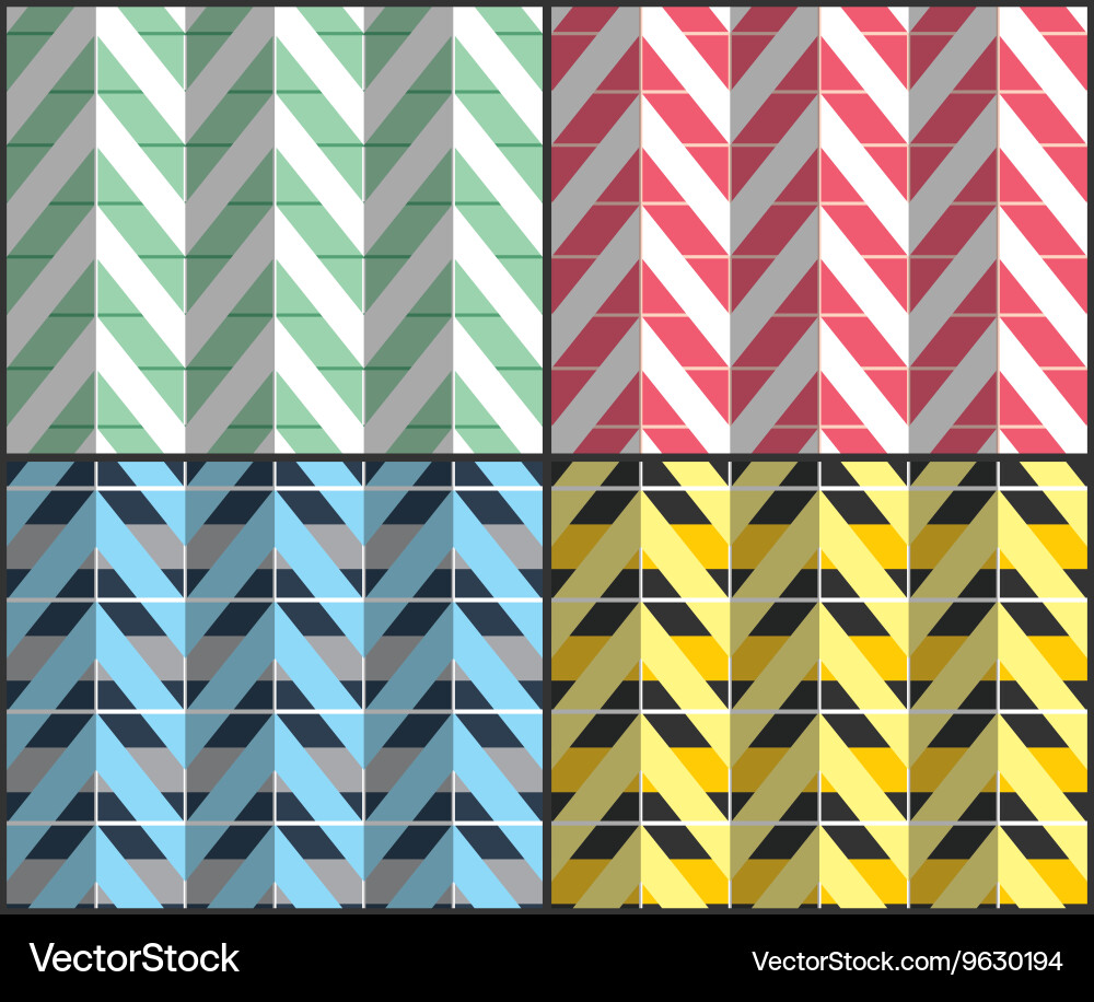 Zigzag Herringbone Patterns vector image
