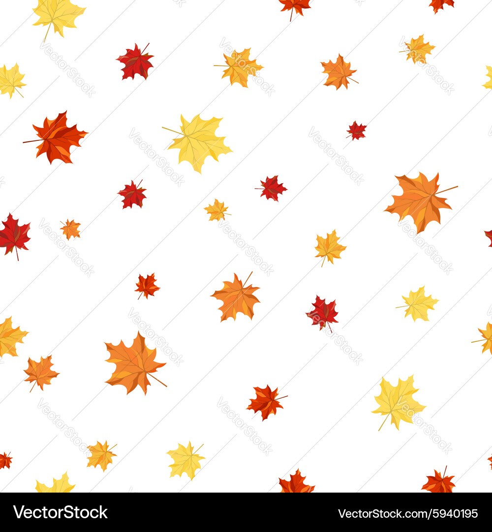 Seamless maple pattern vector image