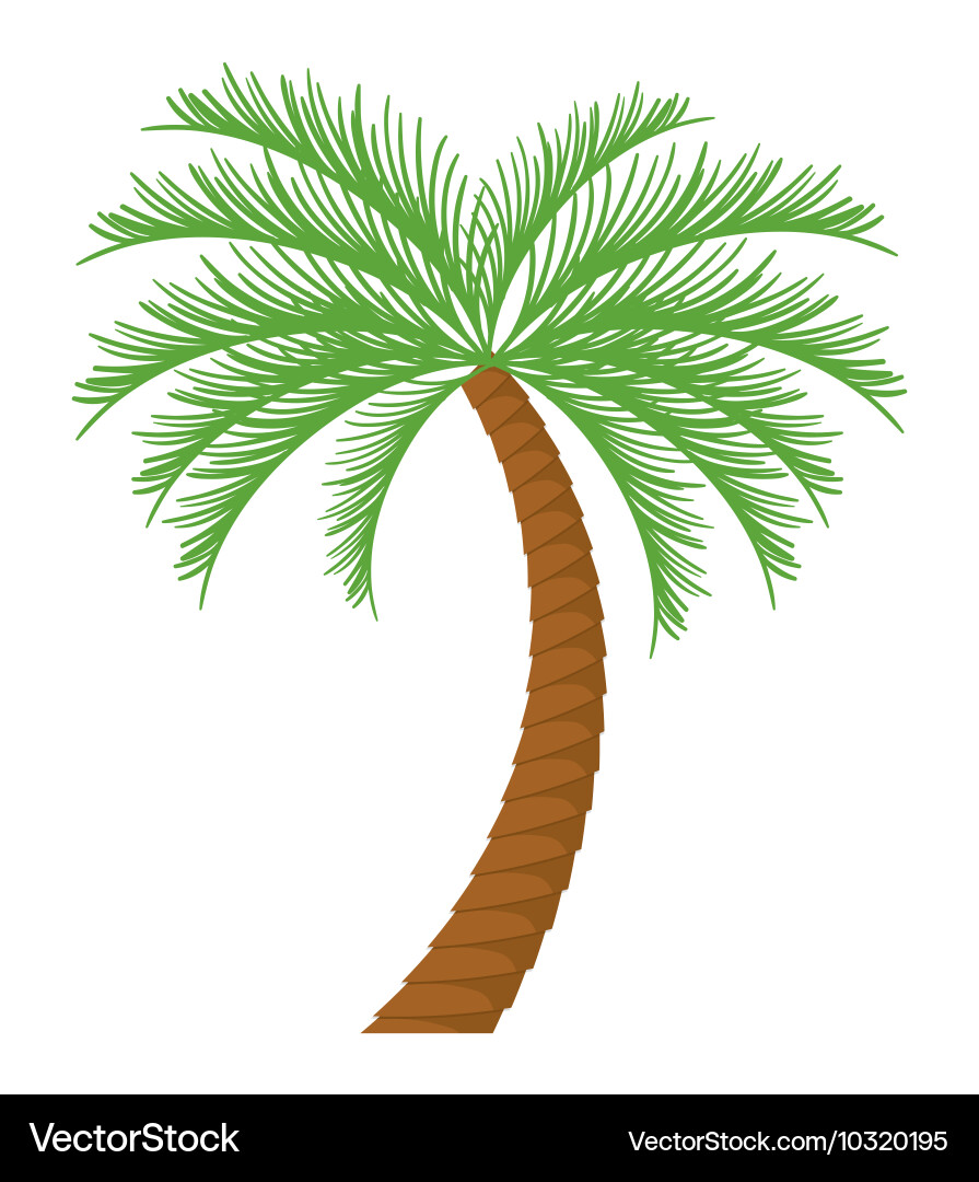 Tropical Palm Tree Vector Image