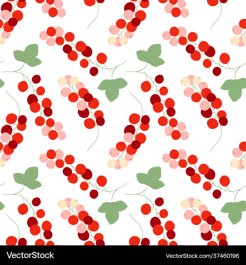 Red Currant Pattern Vector Image