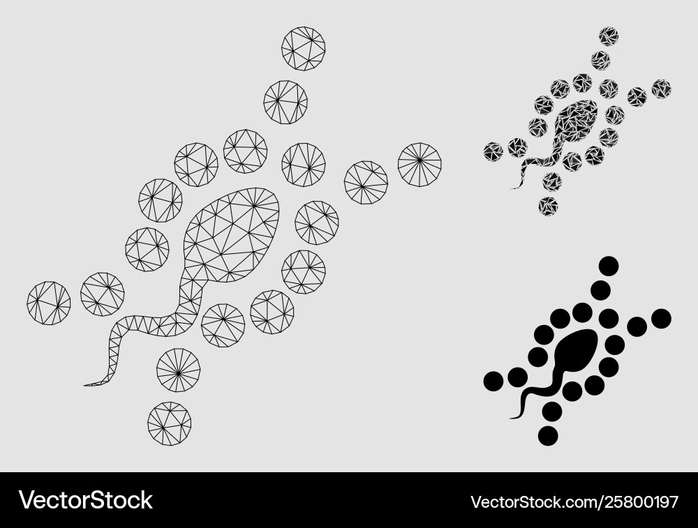 Dna replication mesh network model Dna replication mesh network model vector image