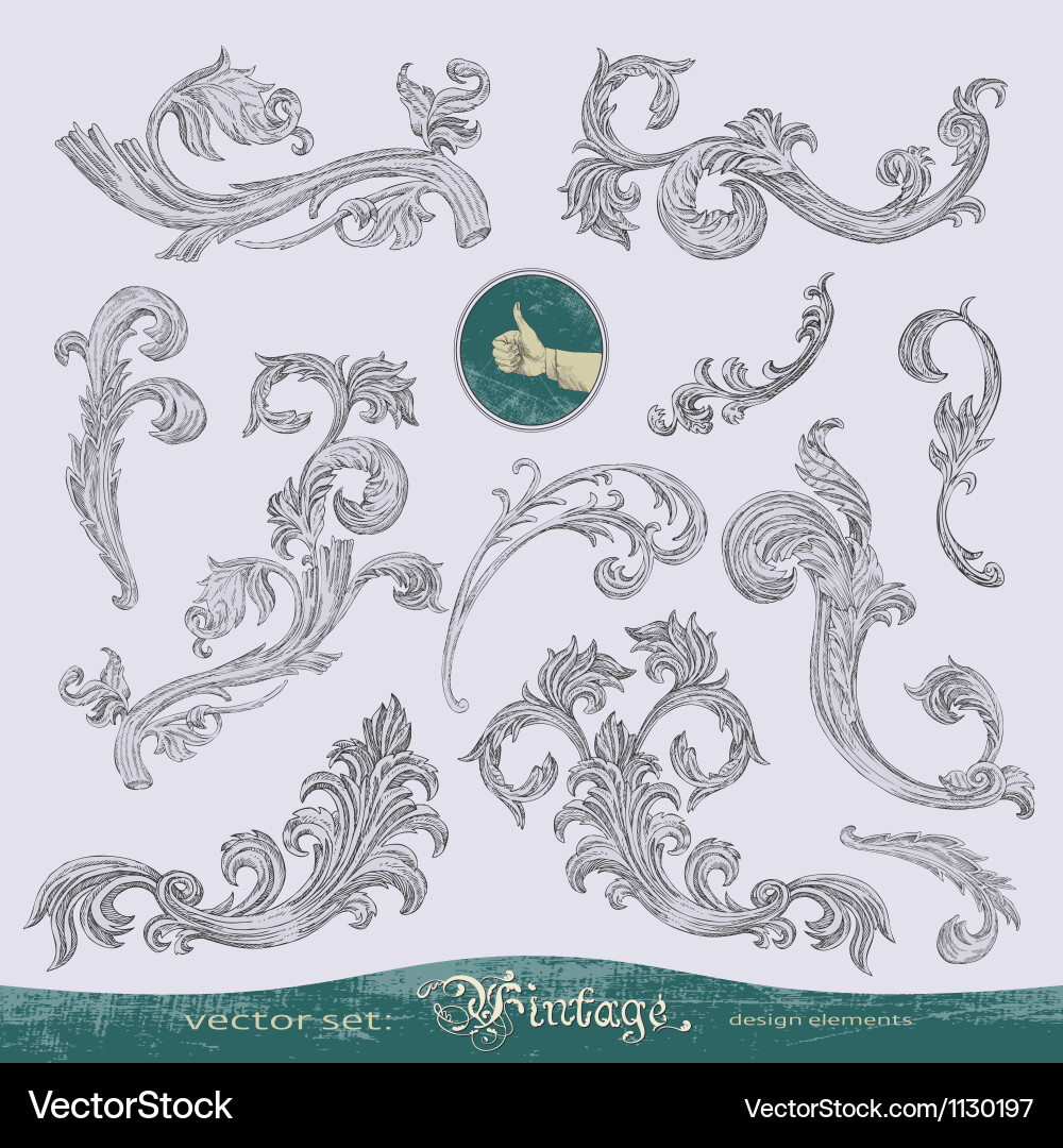 Elegant Swirls & Scrolls vector image