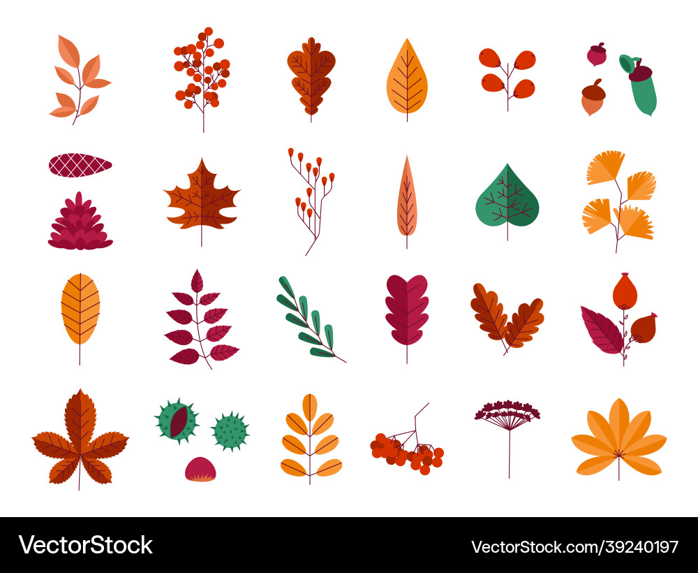 Herbst Blätter und Nüsse Wald Bäume gelb Herbst Blätter und Nüsse Wald Bäume gelb vektorbild