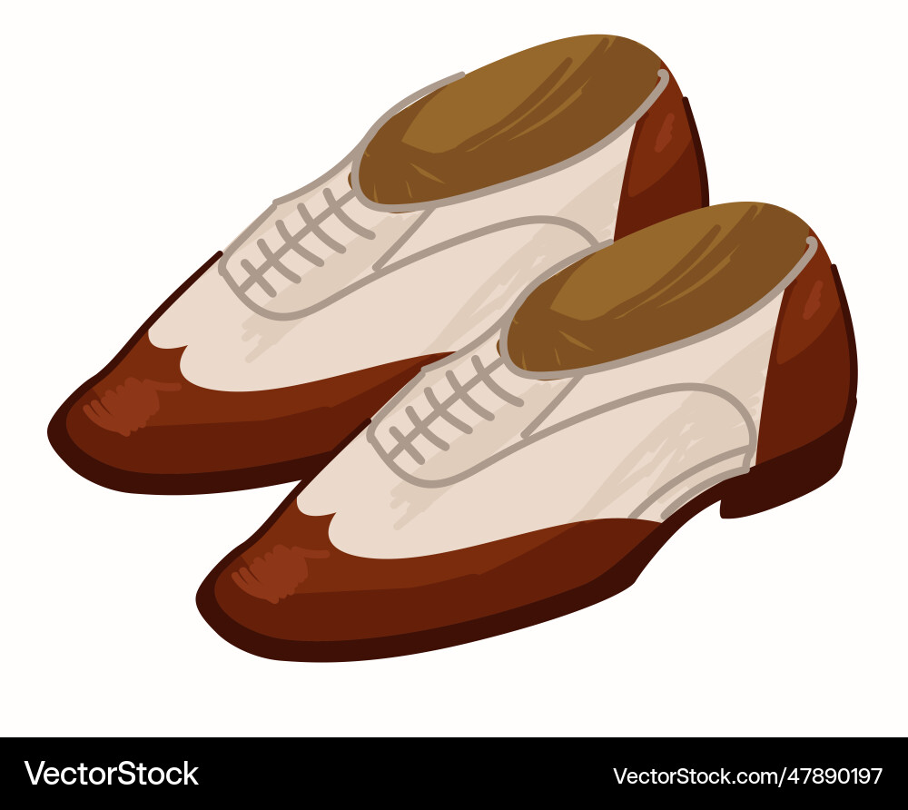 Old vintage shoes with laces retro men fashion Old vintage shoes with laces retro men fashion vector image
