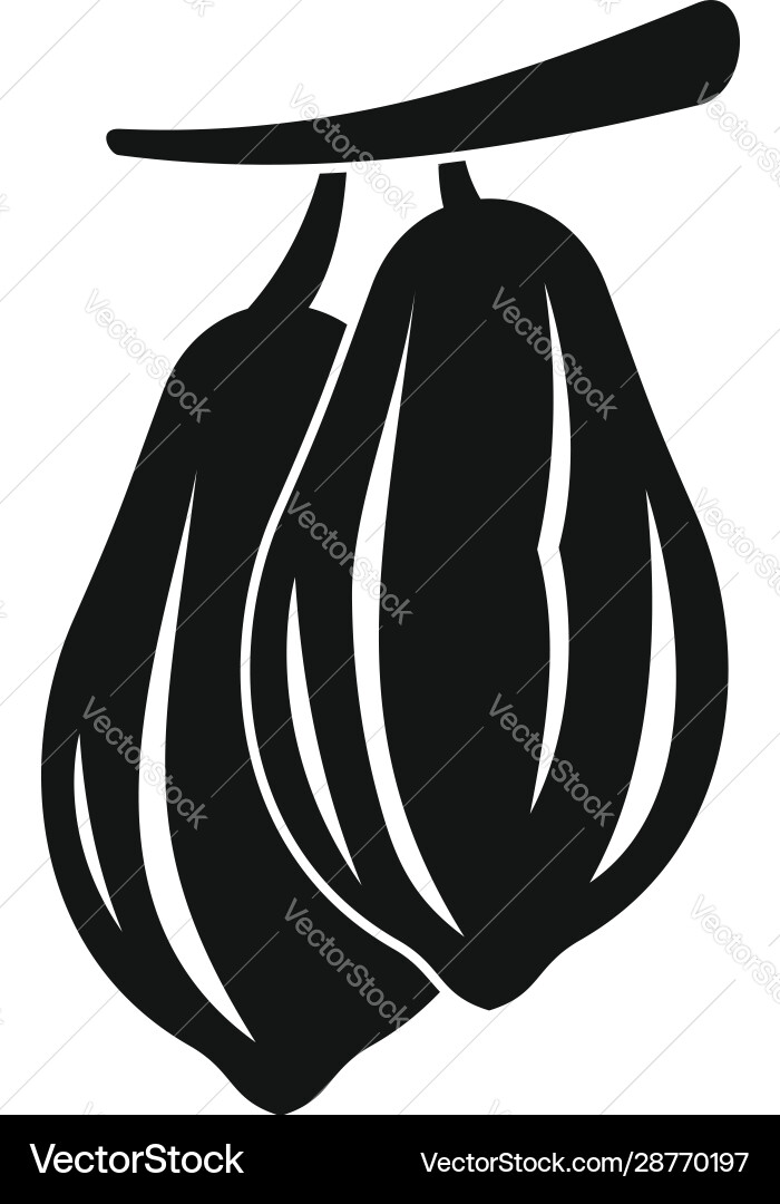 Raw cocoa icon simple style Raw cocoa icon simple style vector image