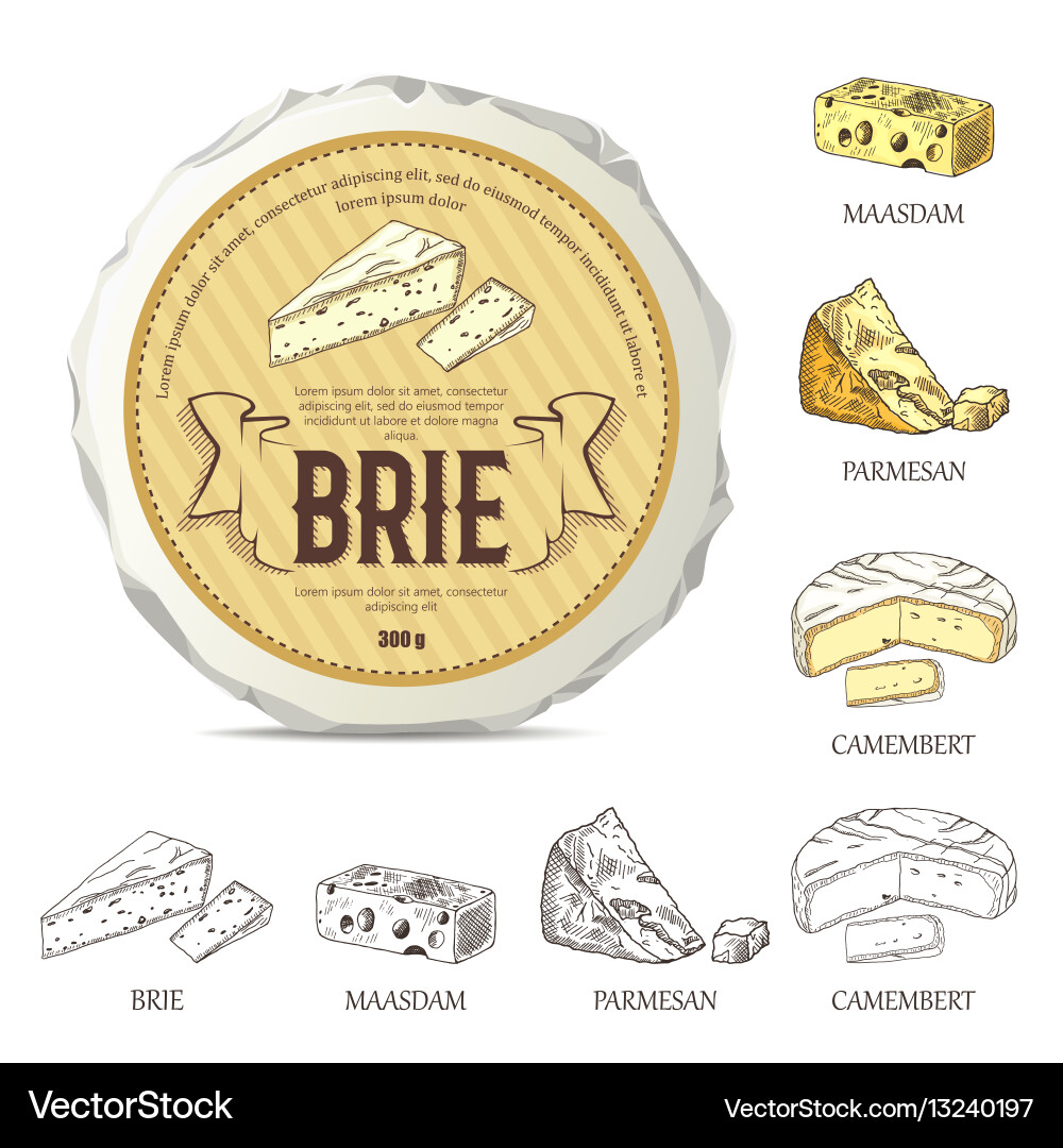 Round Cheese Sticker - Brie & Camembert Vector Image