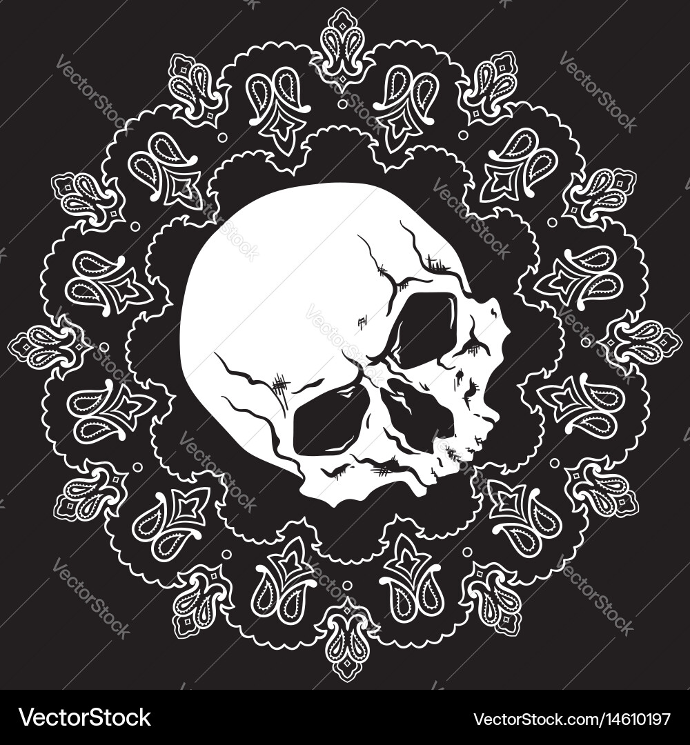 Skull Paisley Bandana Vector Image