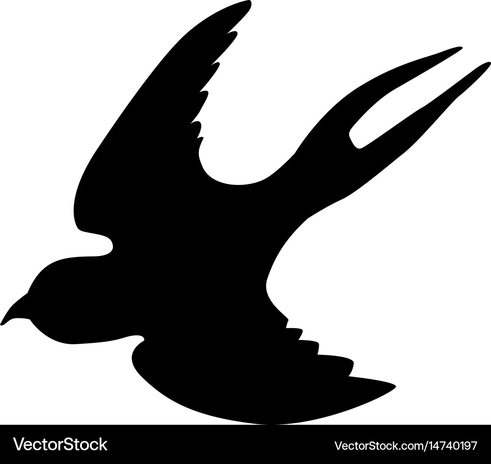 Swallow Silhouette (14740197) – Royalty-Free Vector | VectorStock, image size:1000x946
