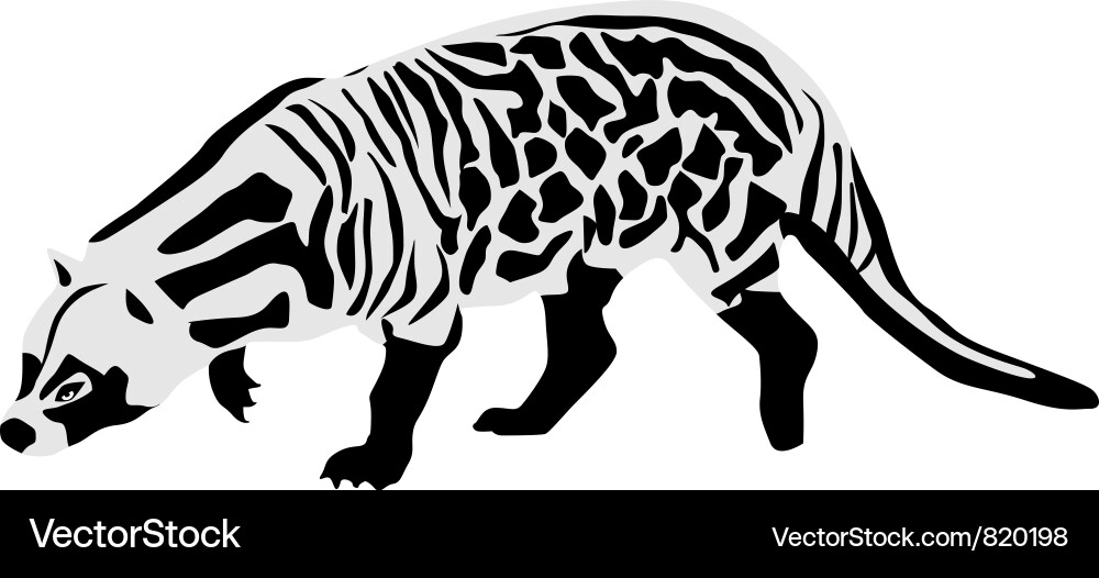 Afrikanische Civet vektorbild