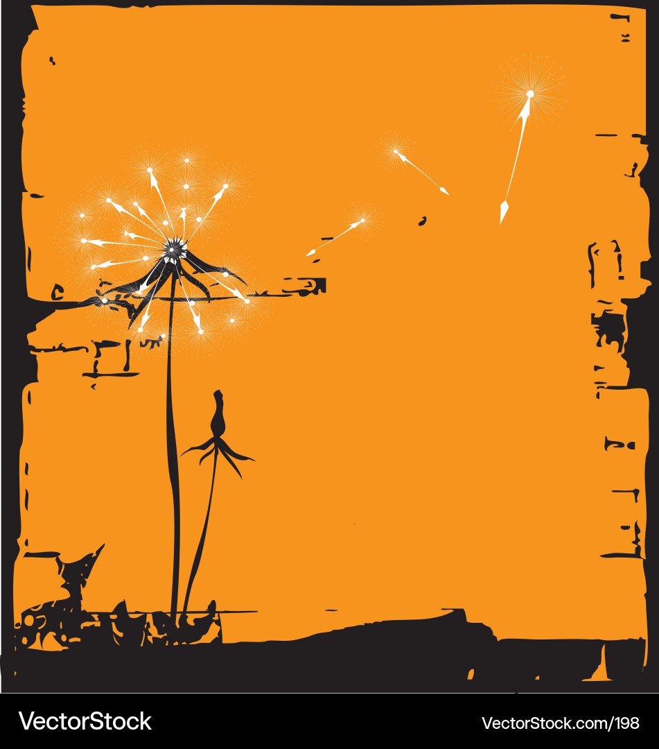 Dandelion Bloom Royalty Free Vector Image