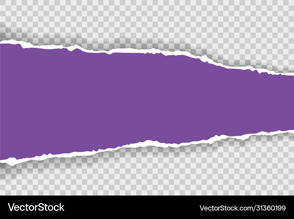 Torn paper with ripped edges realistic vector image